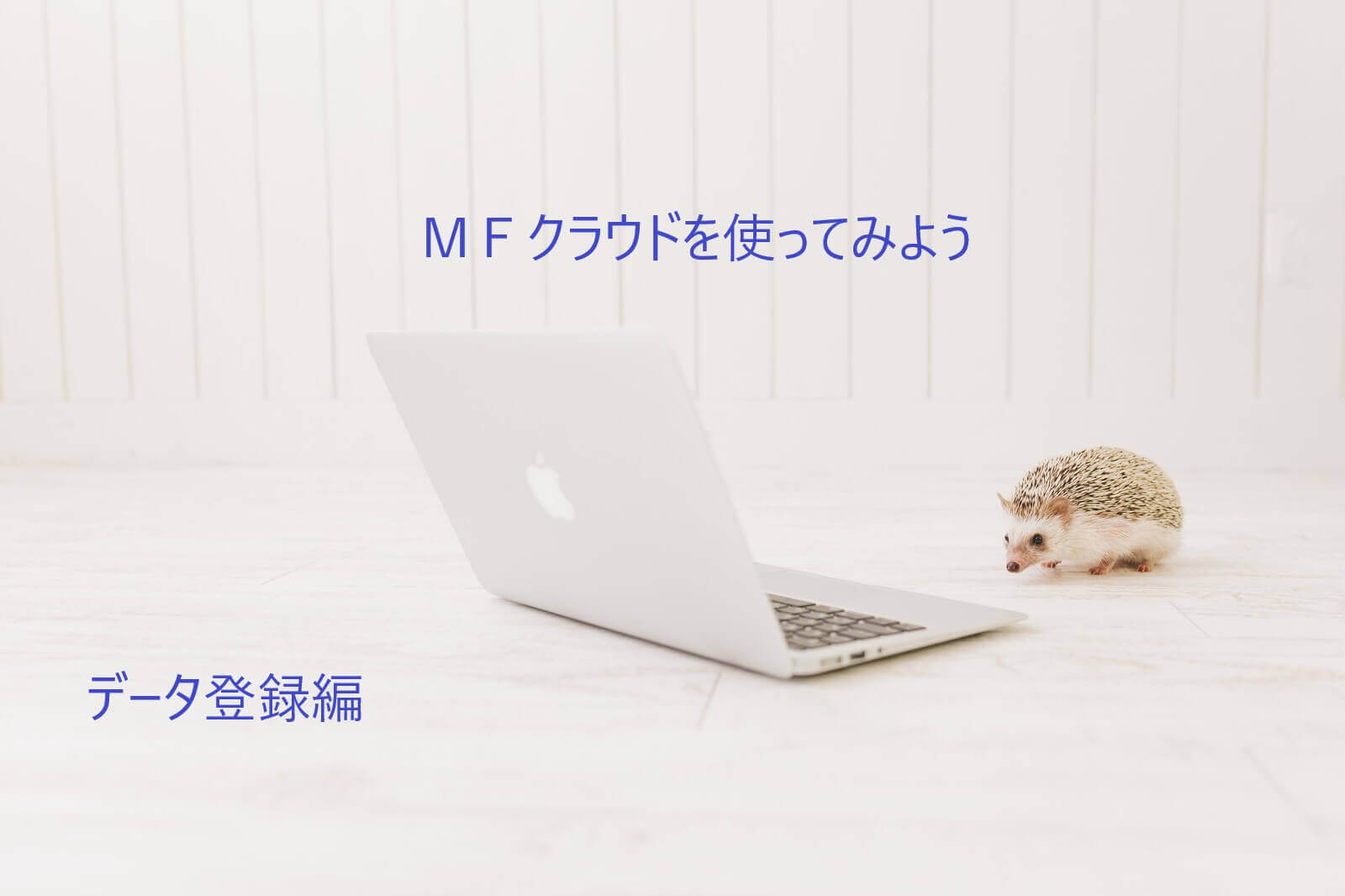 MFクラウドデータ登録編