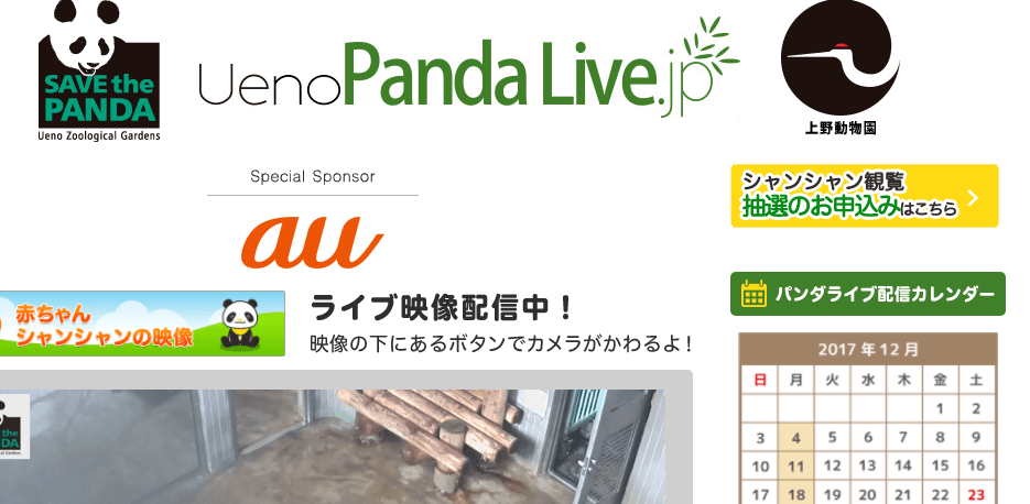 Ueno Panda Live