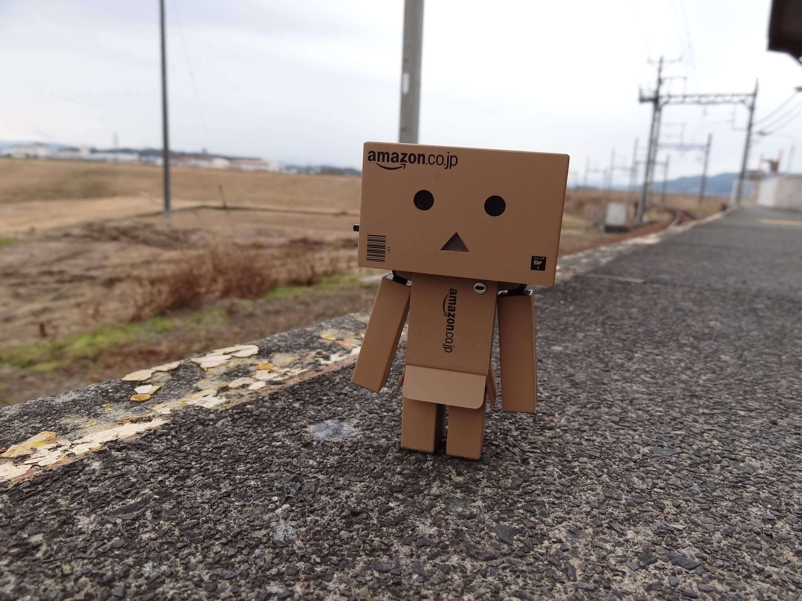 とある無人駅とダンボー