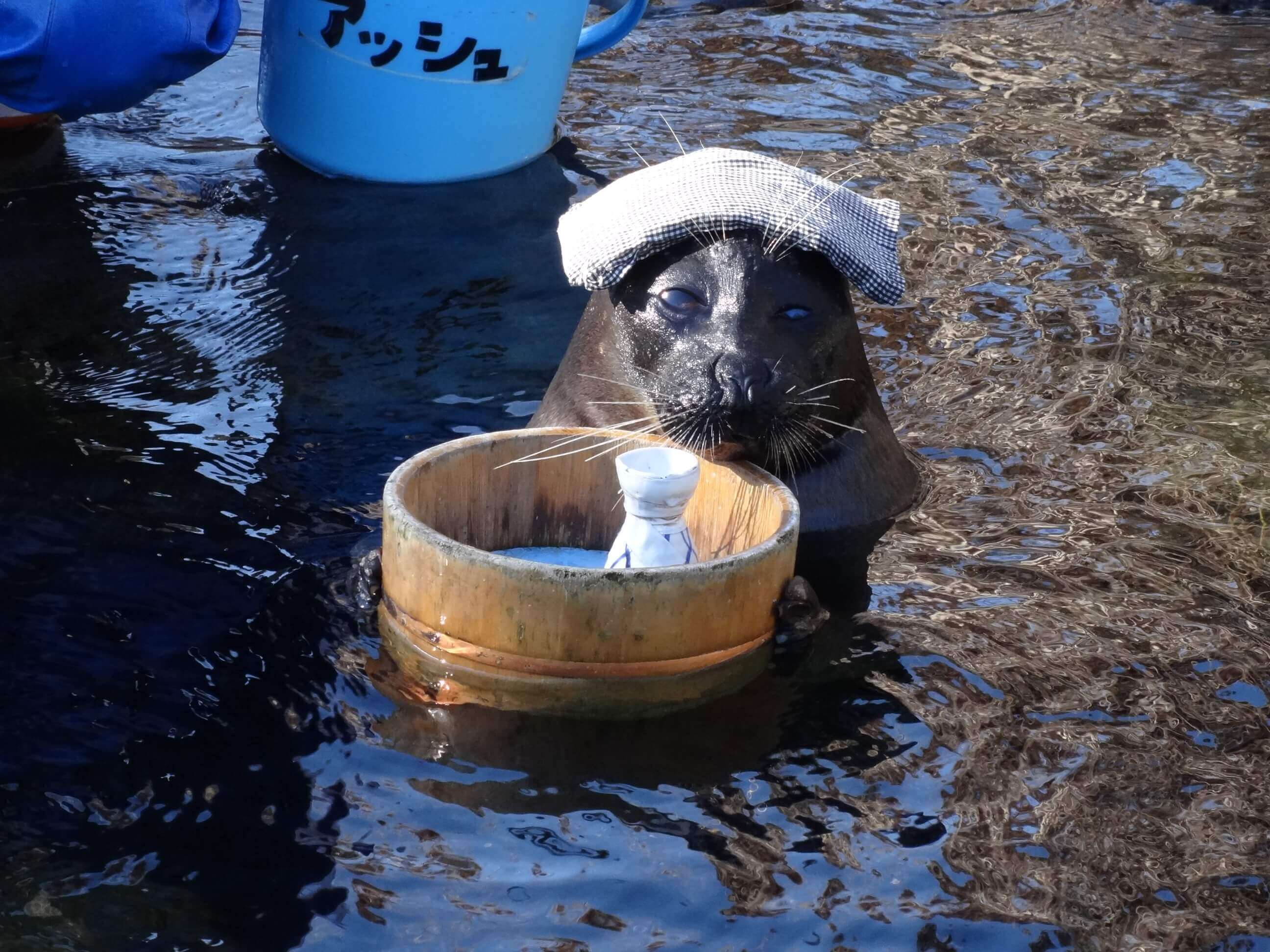 箱根園水族館