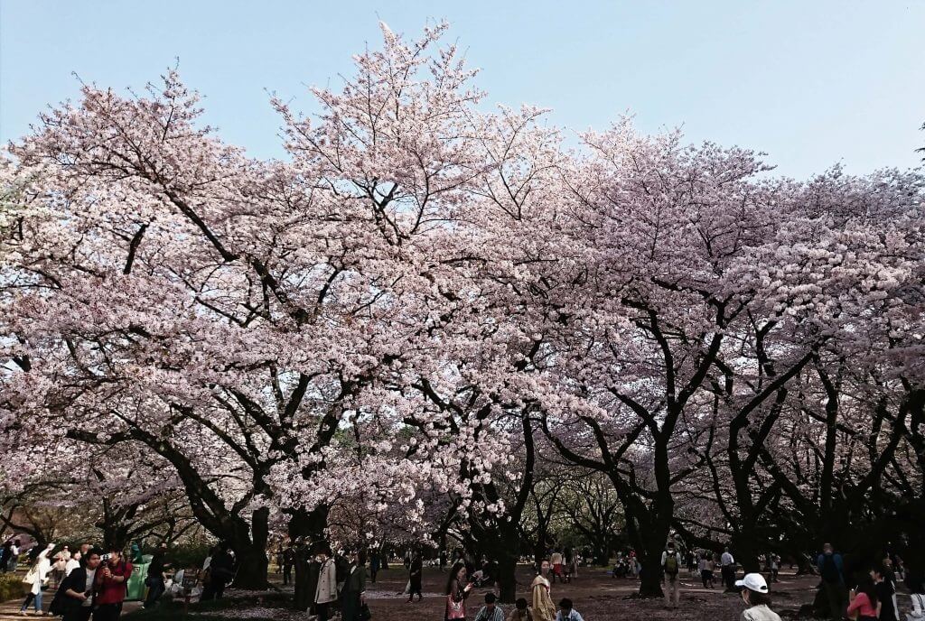 新宿御苑