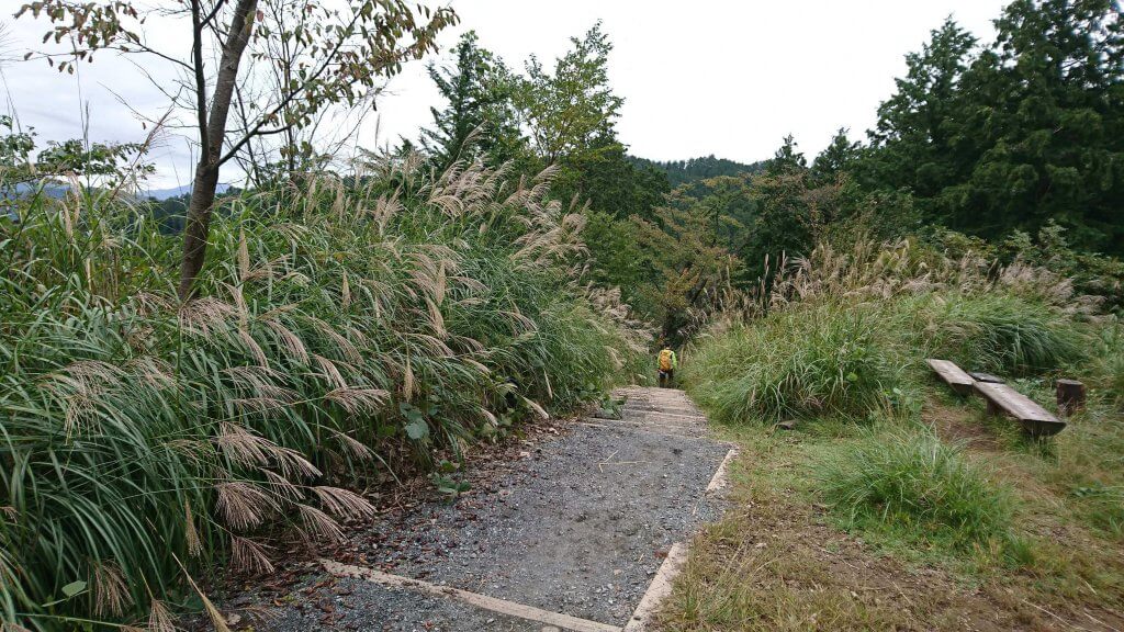 登山道