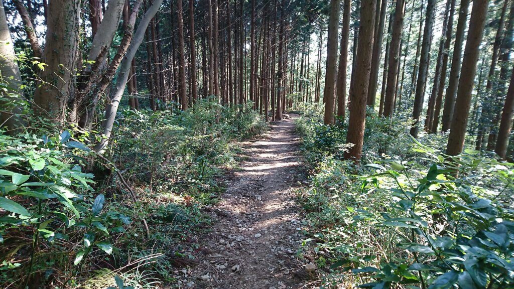 登山道③