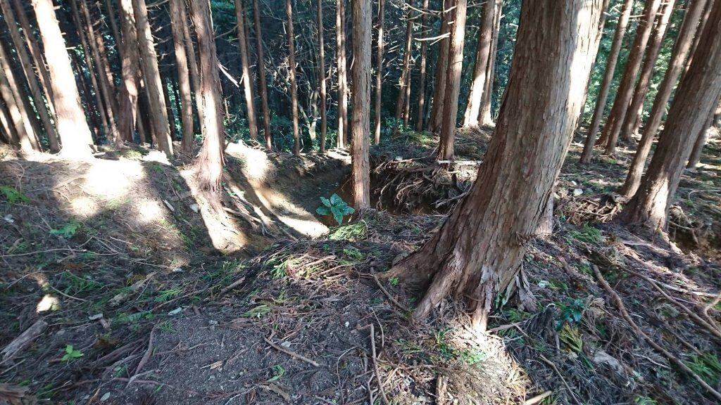 登山道②