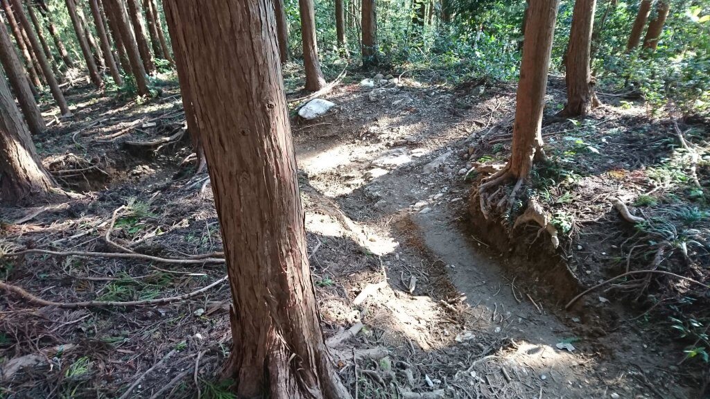 登山道①